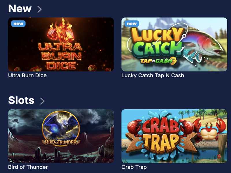 Sistema de seguridad y protección de datos de 1bet4win